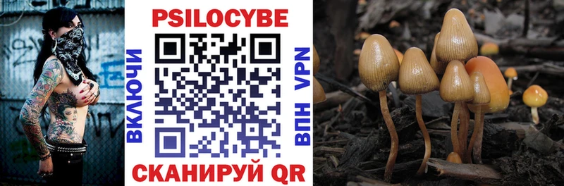 где купить наркоту  Боровск  blacksprut ССЫЛКА  Псилоцибиновые грибы прущие грибы 