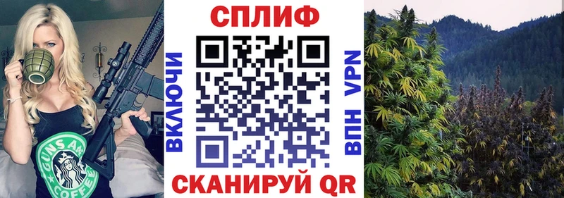 Канабис план  Боровск 